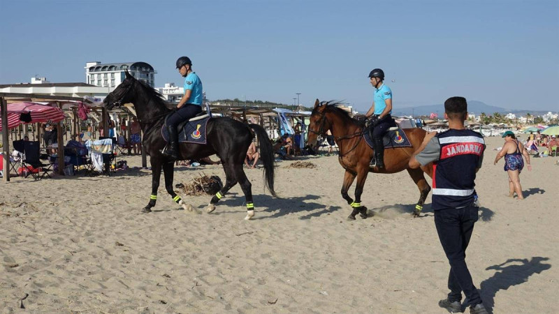 AYVALIK’TA JANDARMA ATLI SÜVARİLERİ SUÇ VE SUÇLUYA GEÇİT VERMEDİ